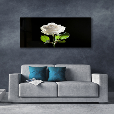 Quadro canvas Rosa Flor Planta Natureza
