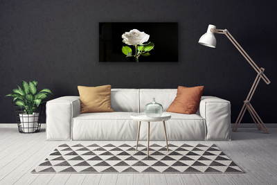 Quadro canvas Rosa Flor Planta Natureza
