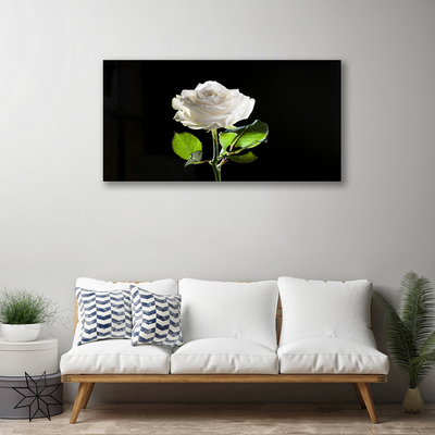 Quadro canvas Rosa Flor Planta Natureza