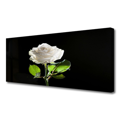 Quadro canvas Rosa Flor Planta Natureza