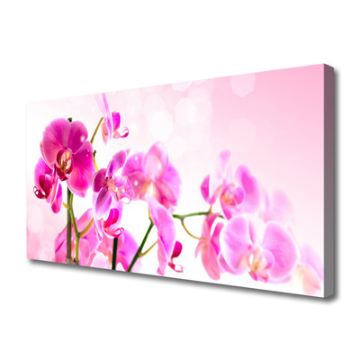 Quadro em tela Flores Planta Natureza