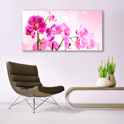 Quadro em tela Flores Planta Natureza