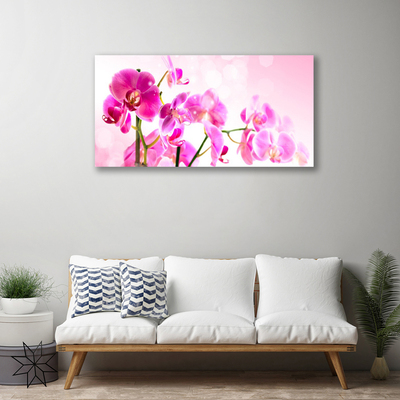 Quadro em tela Flores Planta Natureza
