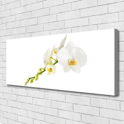 Quadro em tela Flores Planta Natureza