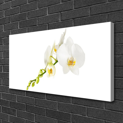 Quadro em tela Flores Planta Natureza