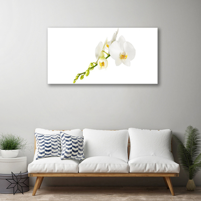 Quadro em tela Flores Planta Natureza