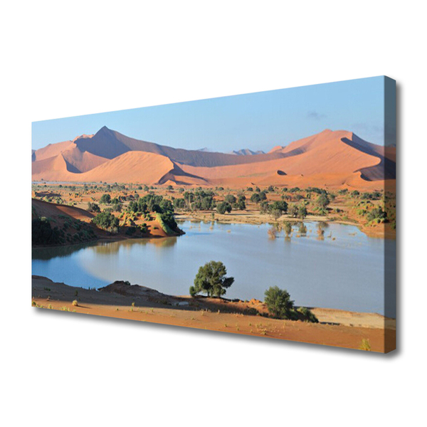 Quadro canvas Paisagem do Deserto do Lago