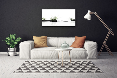 Quadro em tela Espelho d'água de grama