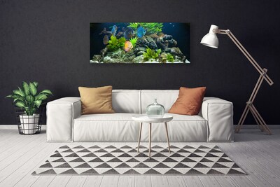 Quadro canvas Aquário de peixes Natureza