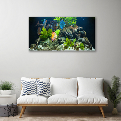 Quadro canvas Aquário de peixes Natureza