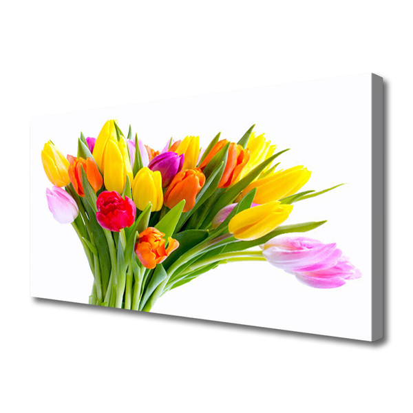 Quadro canvas Tulipas Flores Planta
