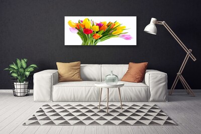 Quadro canvas Tulipas Flores Planta