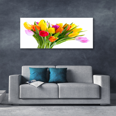 Quadro canvas Tulipas Flores Planta