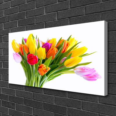 Quadro canvas Tulipas Flores Planta