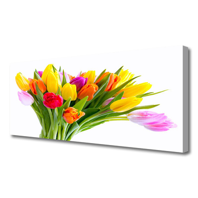 Quadro canvas Tulipas Flores Planta