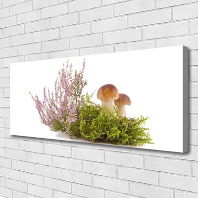 Quadro em tela Cogumelos Planta Natureza