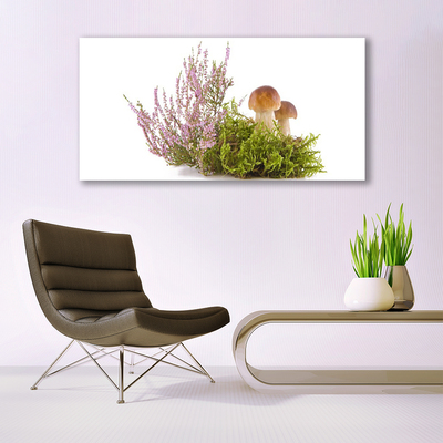 Quadro em tela Cogumelos Planta Natureza