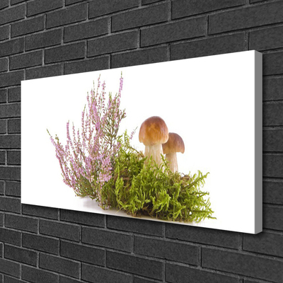 Quadro em tela Cogumelos Planta Natureza