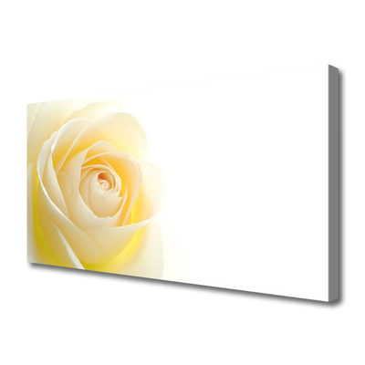 Quadro canvas Rosa Flor Planta Natureza