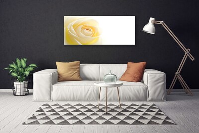 Quadro canvas Rosa Flor Planta Natureza