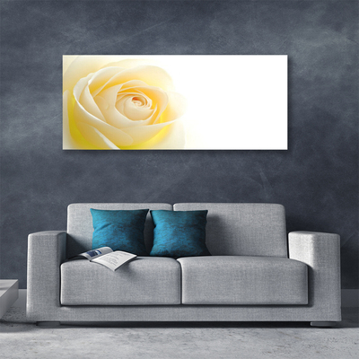 Quadro canvas Rosa Flor Planta Natureza