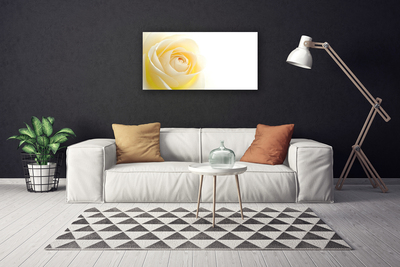 Quadro canvas Rosa Flor Planta Natureza