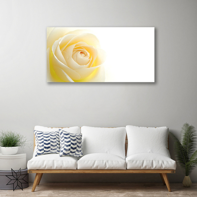 Quadro canvas Rosa Flor Planta Natureza