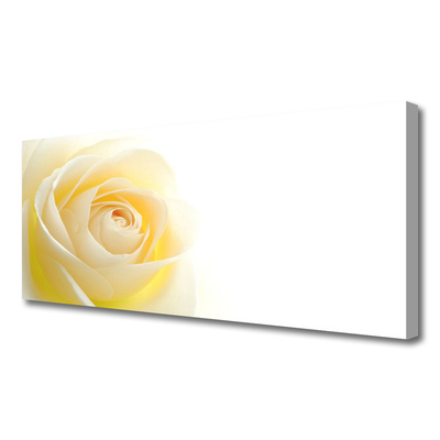Quadro canvas Rosa Flor Planta Natureza