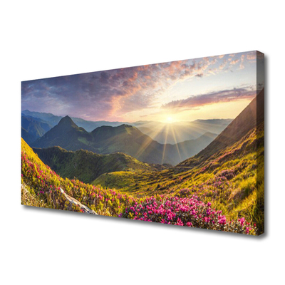 Quadro canvas Paisagem de sol em prado de montanha