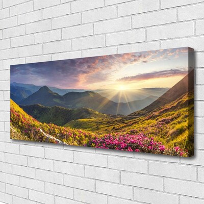 Quadro canvas Paisagem de sol em prado de montanha