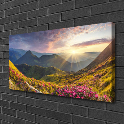 Quadro canvas Paisagem de sol em prado de montanha