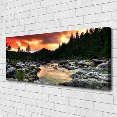 Quadro em tela Lago Rio Floresta Natureza