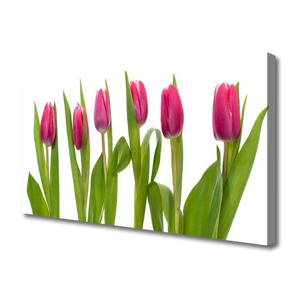 Quadro em tela Tulipas Flores Planta