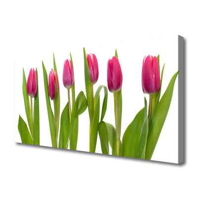 Quadro em tela Tulipas Flores Planta