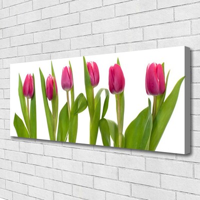 Quadro em tela Tulipas Flores Planta