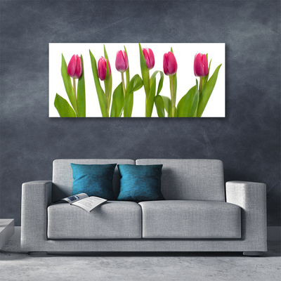Quadro em tela Tulipas Flores Planta