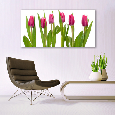 Quadro em tela Tulipas Flores Planta