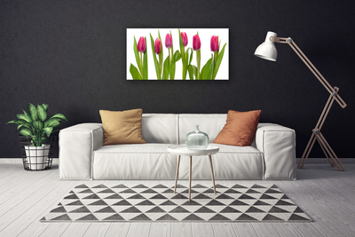 Quadro em tela Tulipas Flores Planta