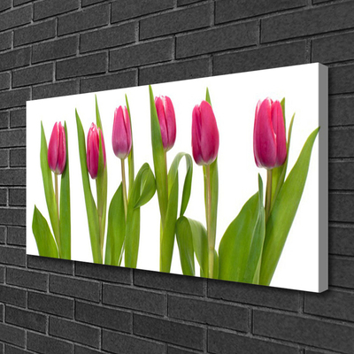 Quadro em tela Tulipas Flores Planta