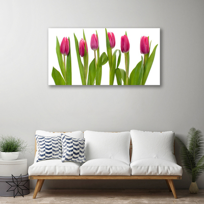 Quadro em tela Tulipas Flores Planta