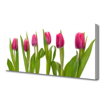 Quadro em tela Tulipas Flores Planta