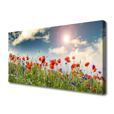 Quadro canvas Flores do Prado Sol Natureza