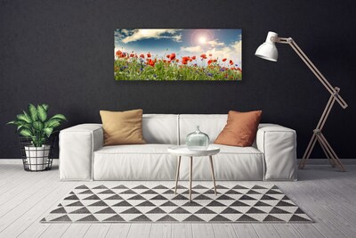 Quadro canvas Flores do Prado Sol Natureza
