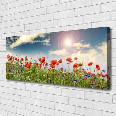 Quadro canvas Flores do Prado Sol Natureza