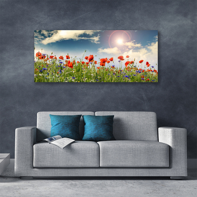 Quadro canvas Flores do Prado Sol Natureza