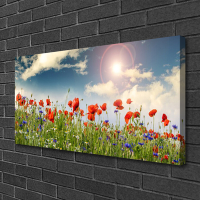 Quadro canvas Flores do Prado Sol Natureza