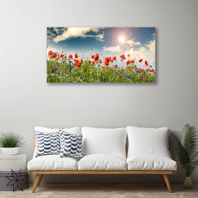 Quadro canvas Flores do Prado Sol Natureza