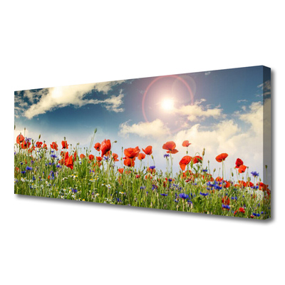 Quadro canvas Flores do Prado Sol Natureza