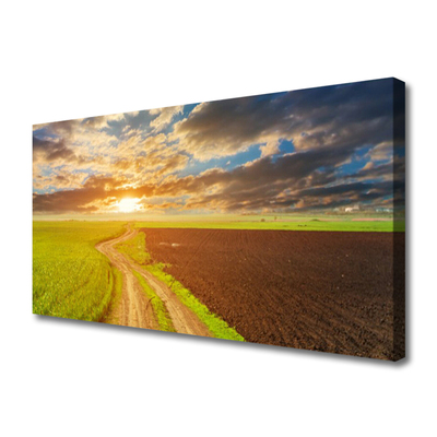 Quadro em tela Campo Céu Sol Natureza