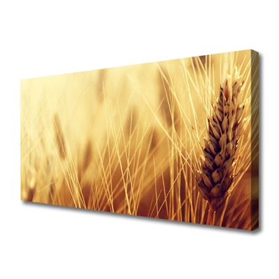 Quadro canvas Natureza da planta de trigo